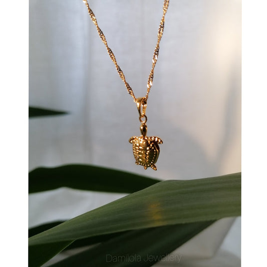 'The Lucky Turtle'