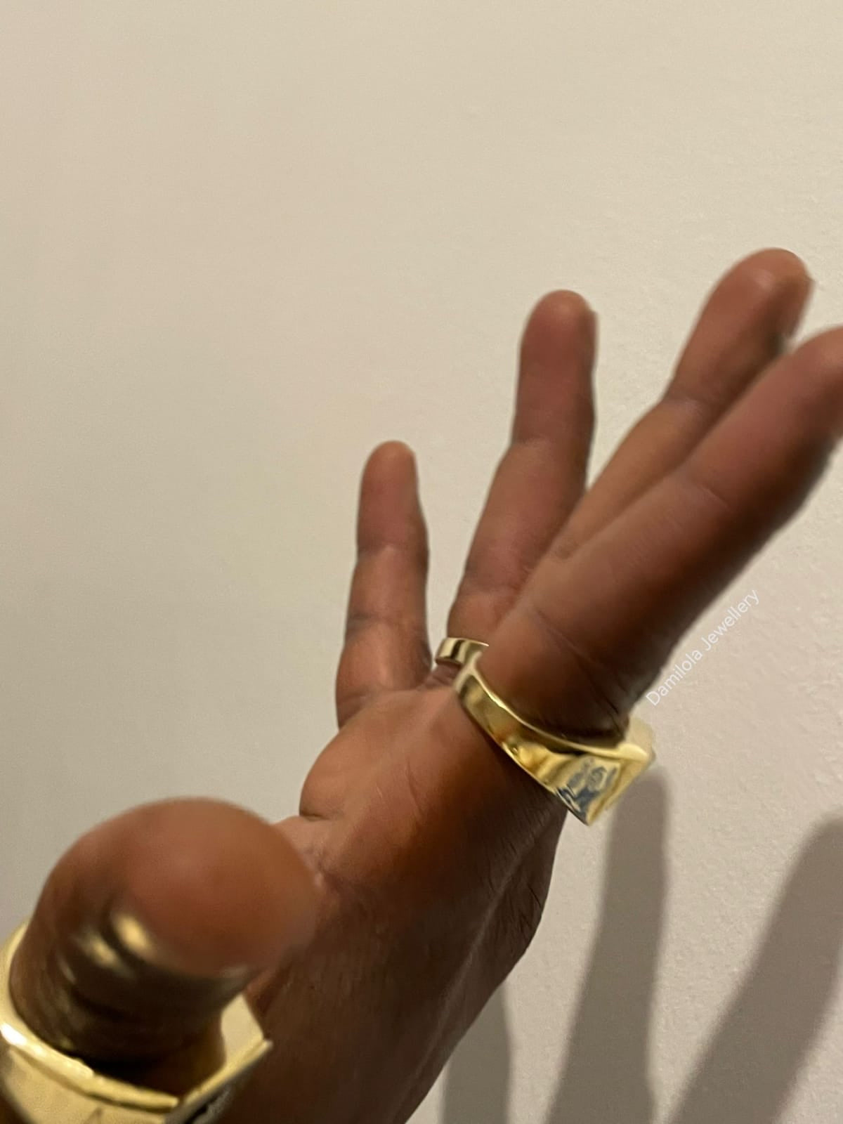 PURE Ankh Chunky Signet Ring - 925 Silver/Gold